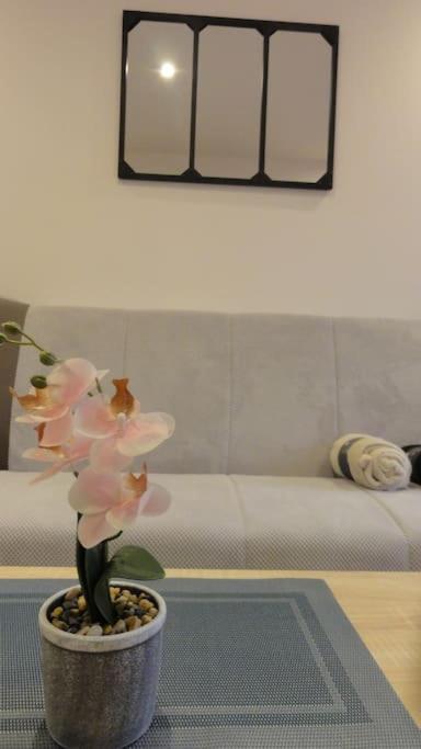 Le Belvedere Dernier Etage Avec Terrasse Wifi Fibre Apartment Tarbes Bagian luar foto